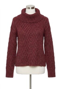 NEW CHARLIE B cowl neck diagonal cable sweater in red
